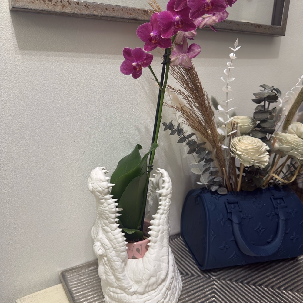 White alligator Vase 3D printed